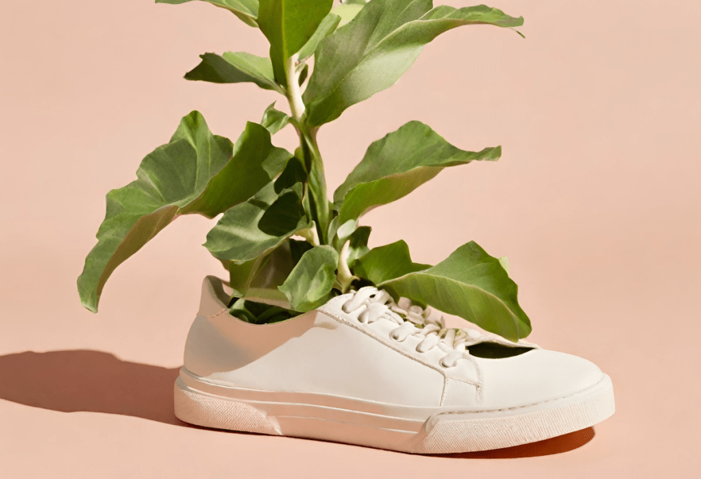 Taking Steps Towards Change by Exploring Sustainable Footwear